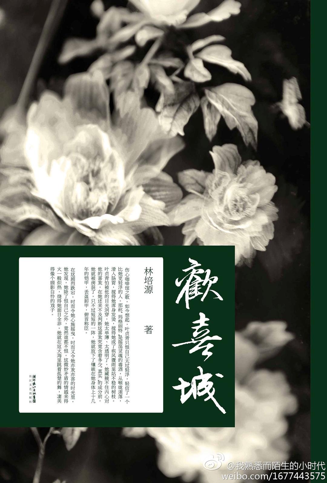欢喜城