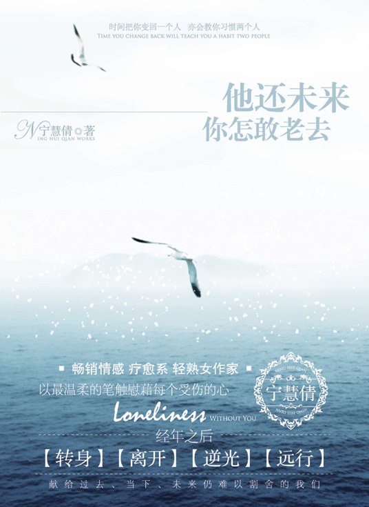 他还未来你怎敢老去