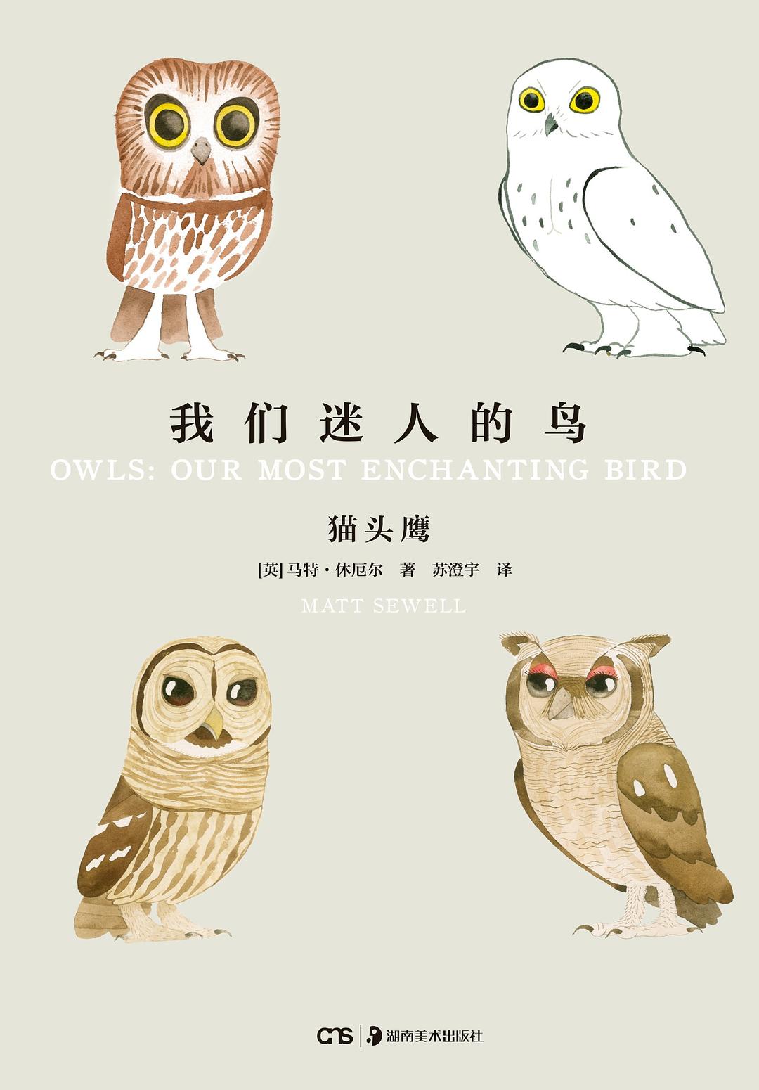我们迷人的鸟 封面
