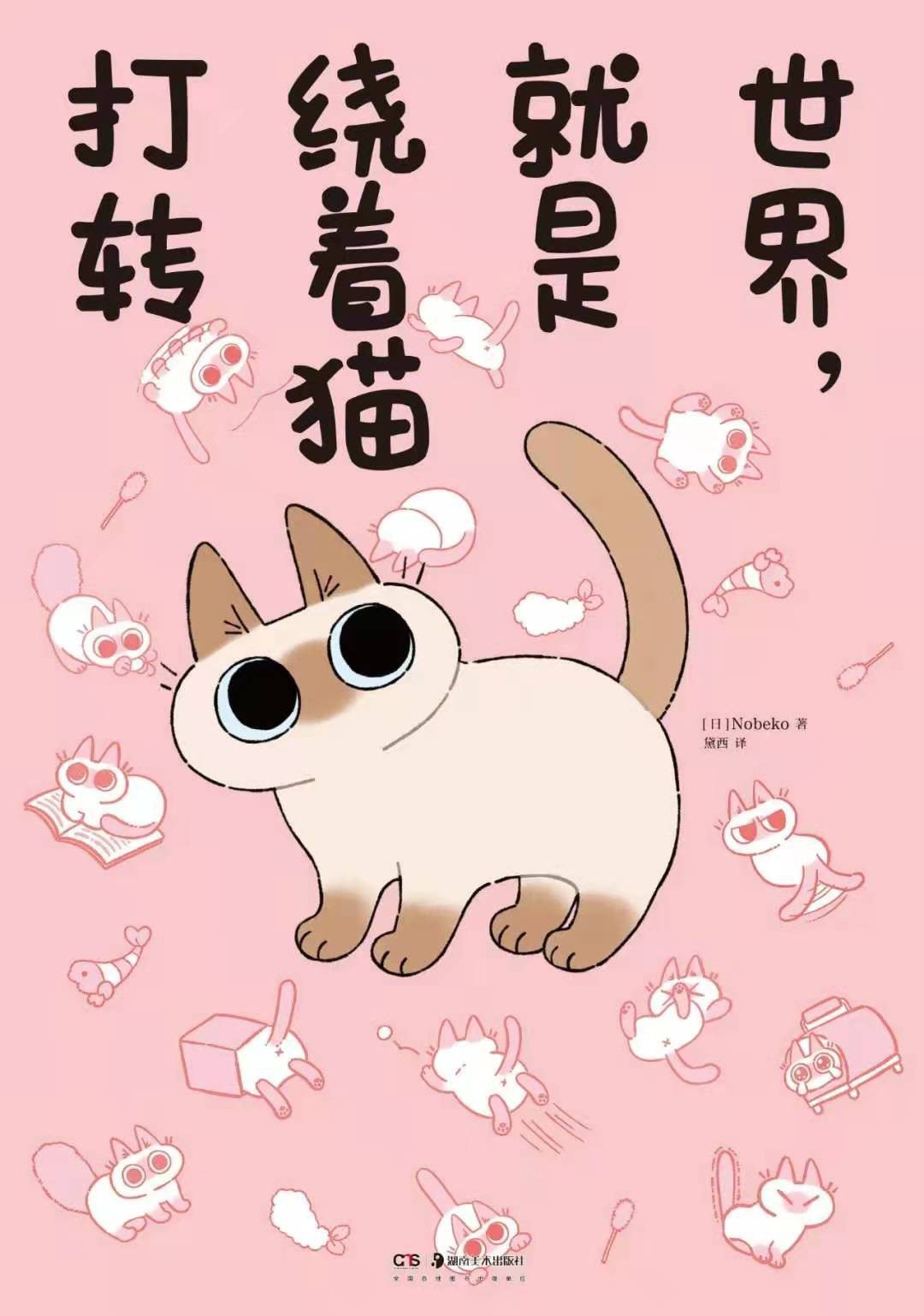 世界，就是绕着猫打转