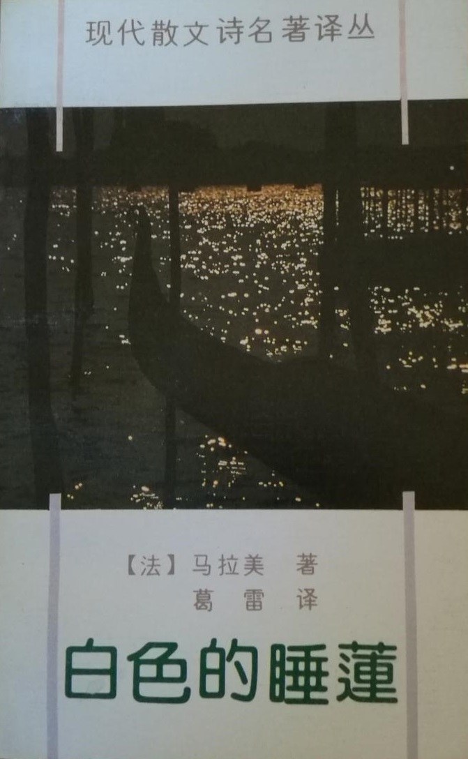 白色的睡莲