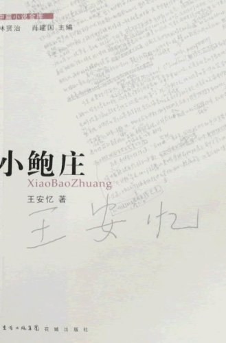 小鲍庄 封面