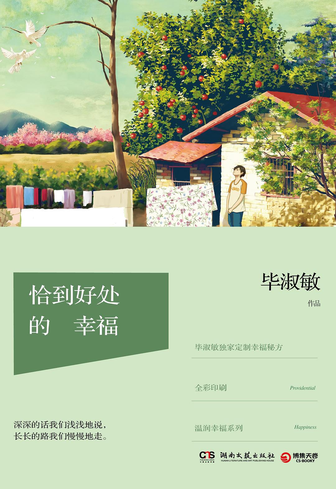 恰到好处的幸福 封面