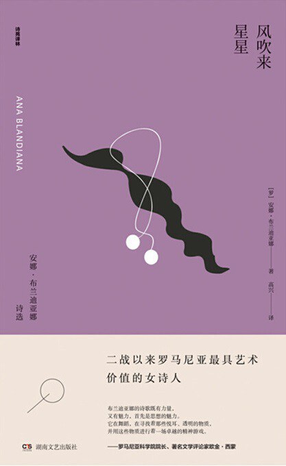 风吹来星星 封面