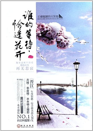 谁的等待，恰逢花开