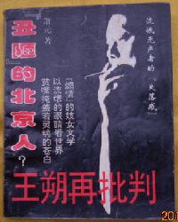 王朔再批判
