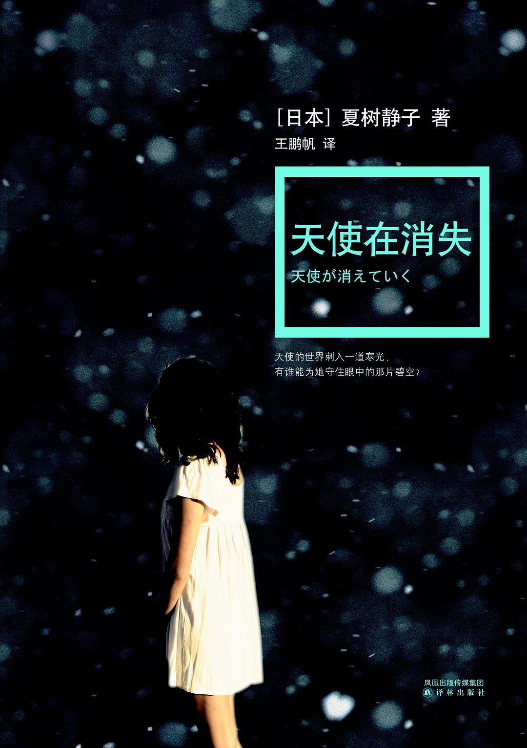 天使在消失 封面