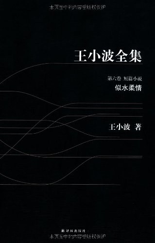 王小波全集 第六卷