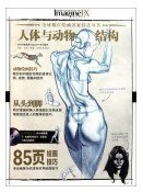 人体与动物结构