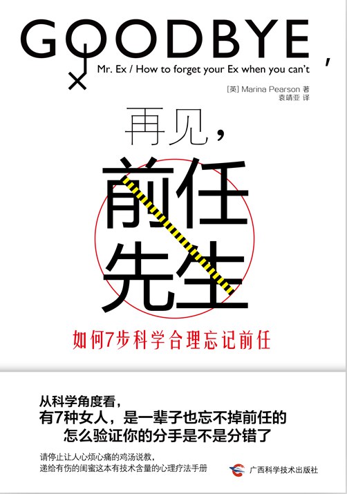 再见，前任先生