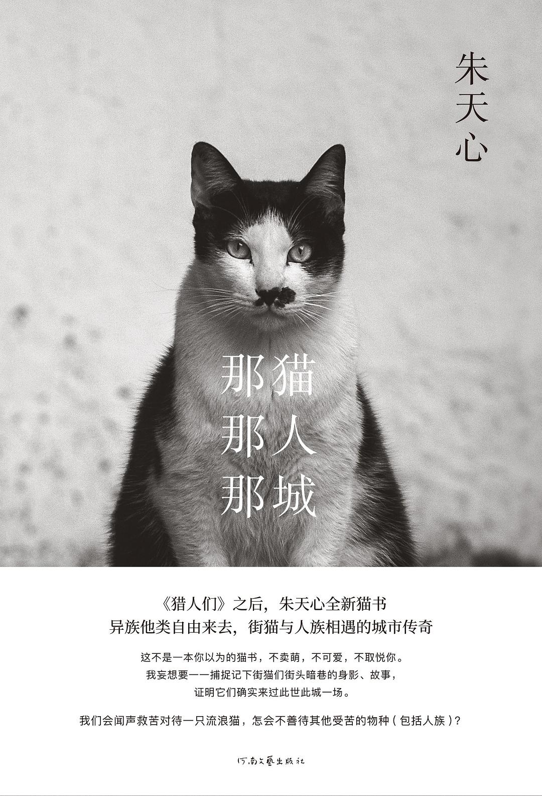 那猫那人那城