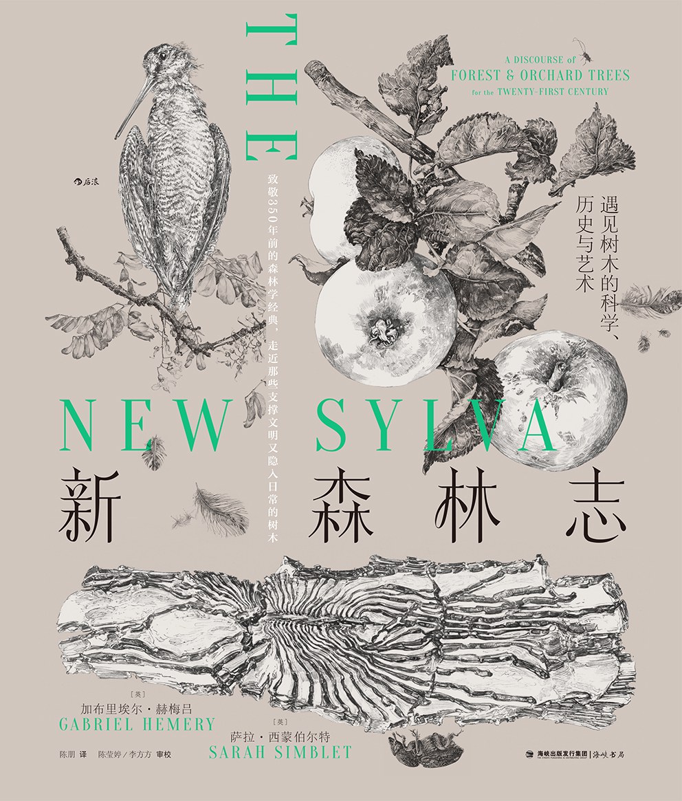 新森林志