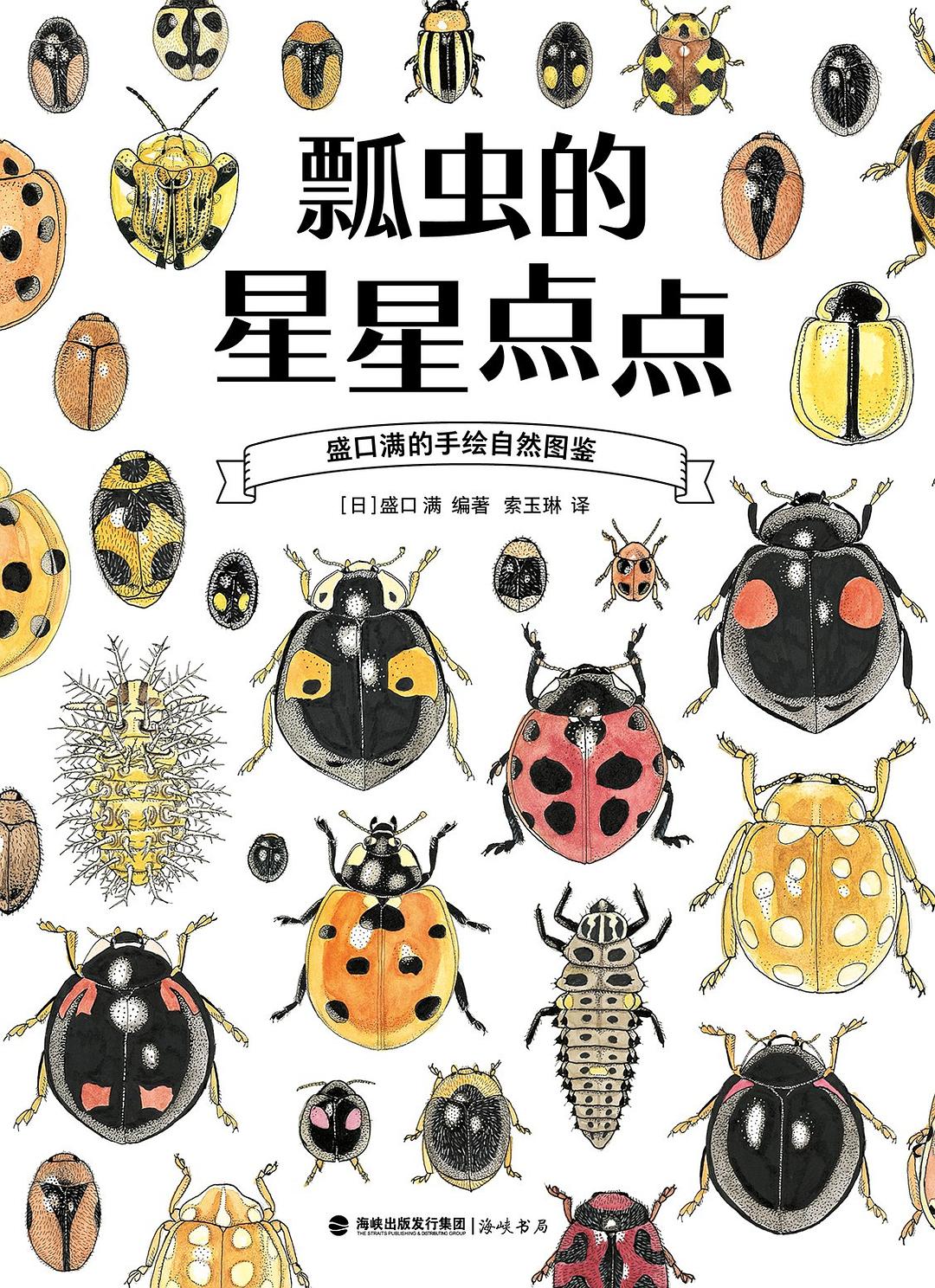 盛口满的手绘自然图鉴：瓢虫的星星点点