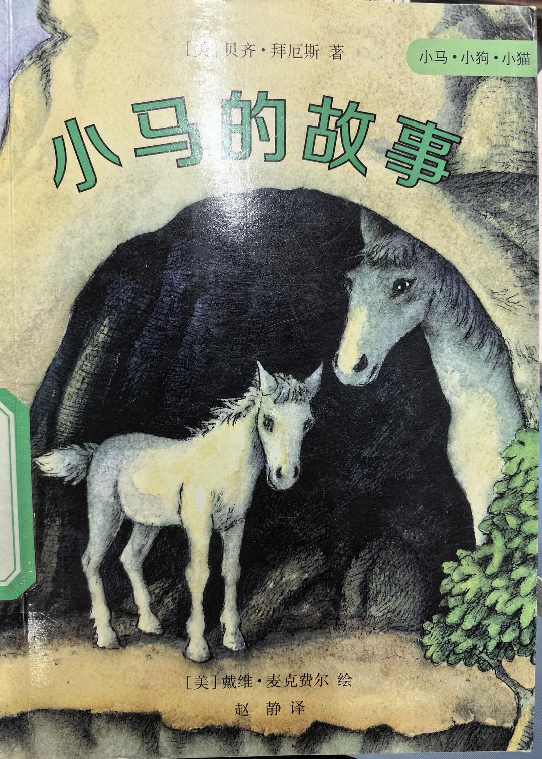 小马的故事