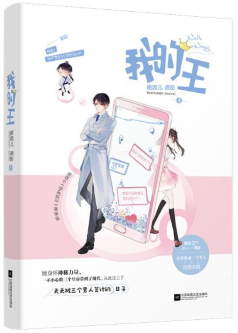 我的王 封面