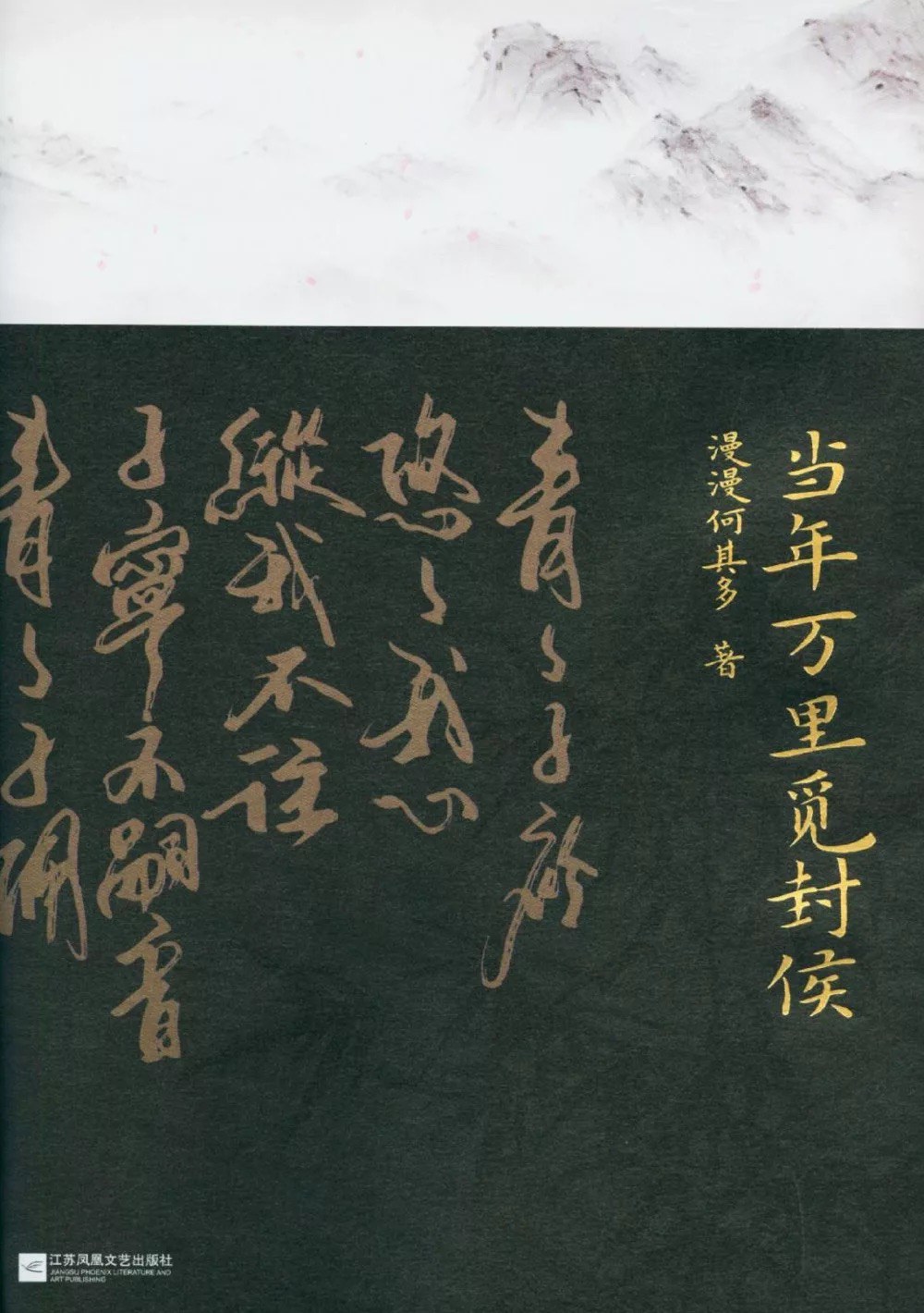 当年万里觅封侯