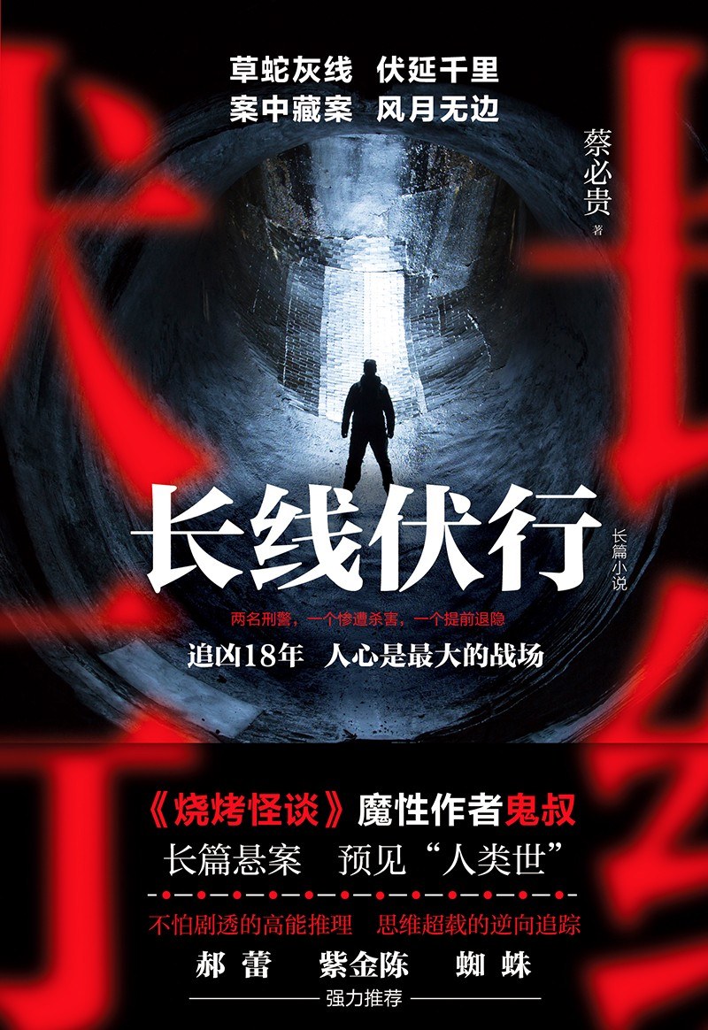 长线伏行 封面