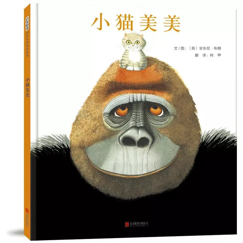 小猫美美