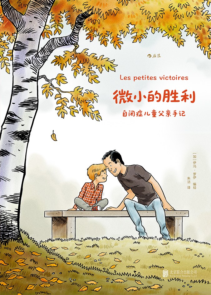 微小的胜利 封面