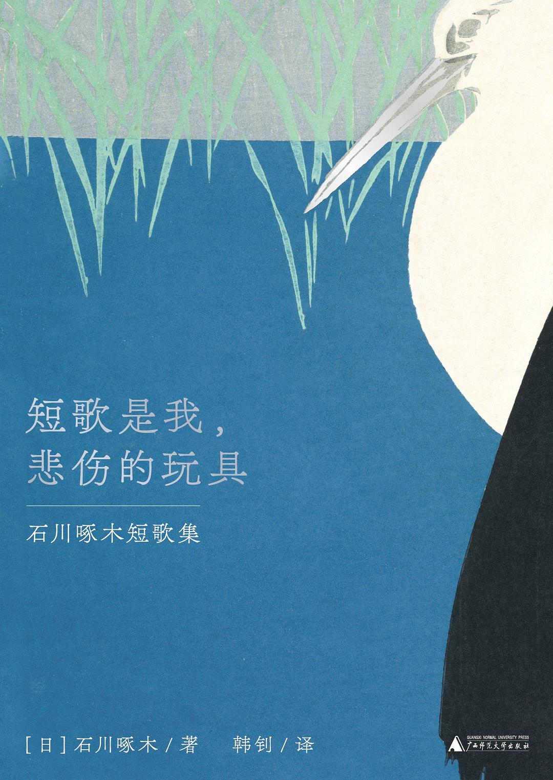 短歌是我，悲伤的玩具 封面