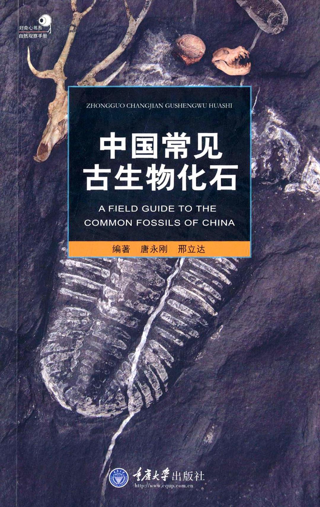 中国常见古生物化石