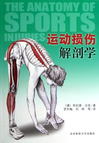 运动损伤解剖学