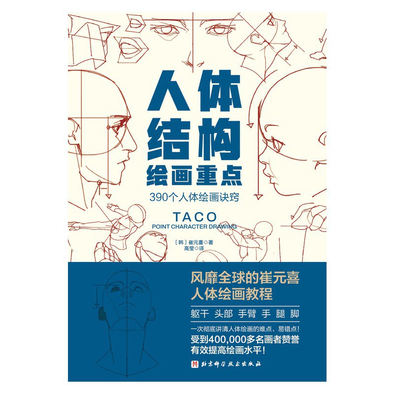 人体结构绘画重点