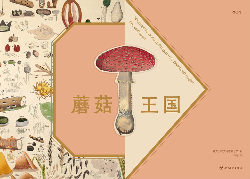 蘑菇王国