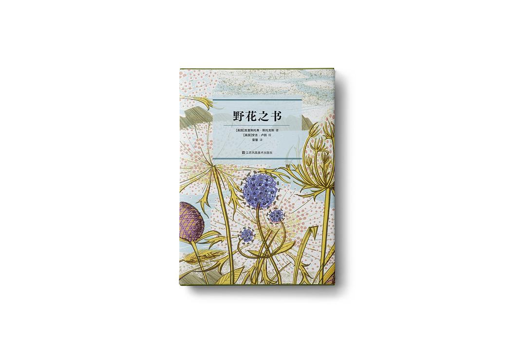 野花之书 封面