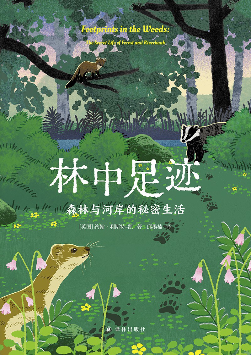 林中足迹