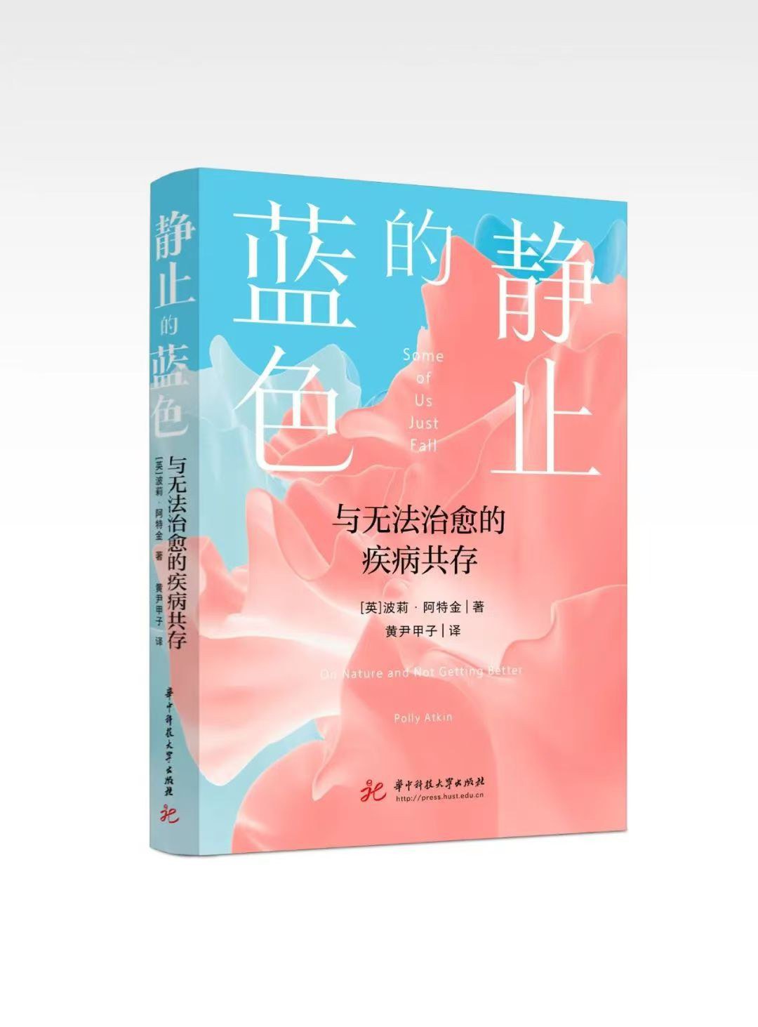 静止的蓝色：与无法治愈的疾病共存