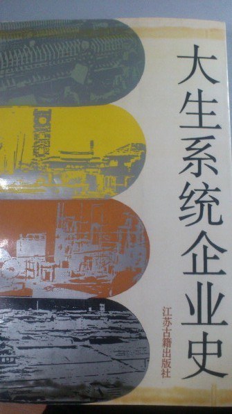 大生系统企业史