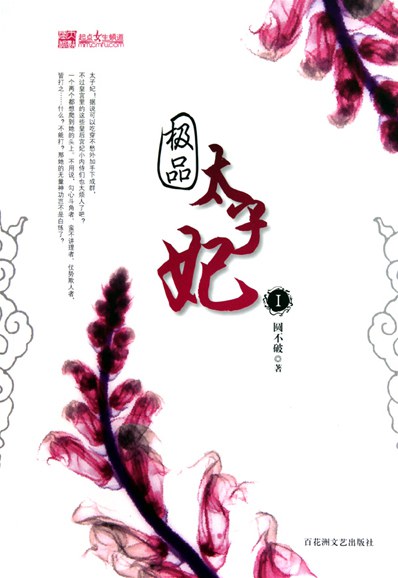 极品太子妃 封面
