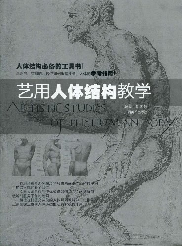 艺用人体结构教学
