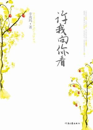 许我向你看 封面