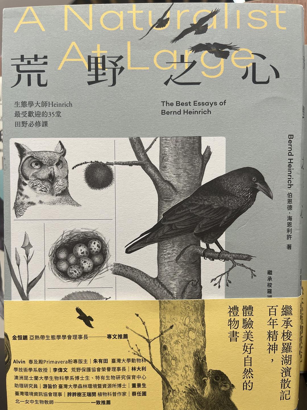 荒野之心