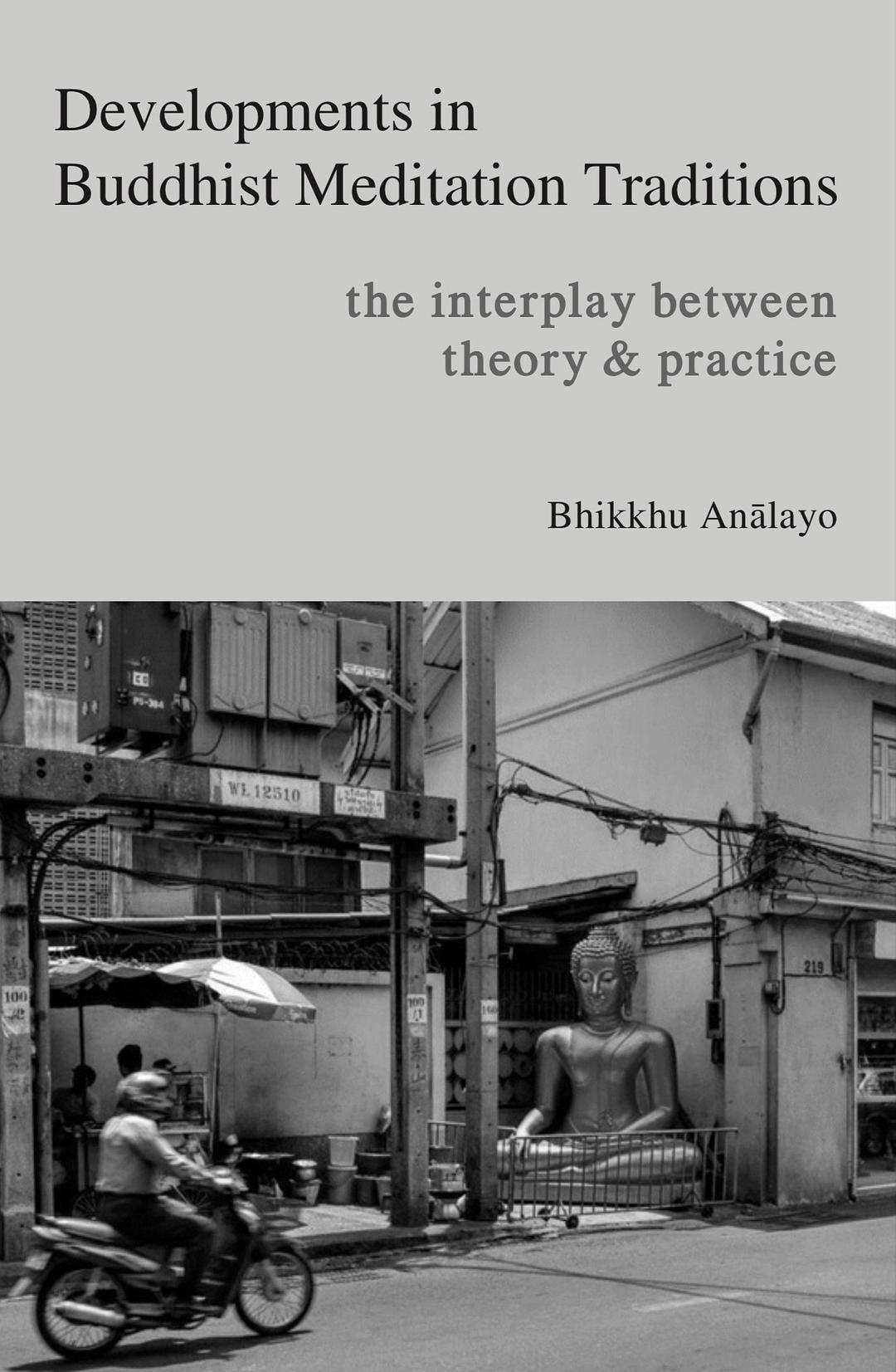 Developments in Buddhist Meditation Traditions: The Interplay